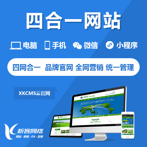 湖州国产化网站定制如何适配国产数据库