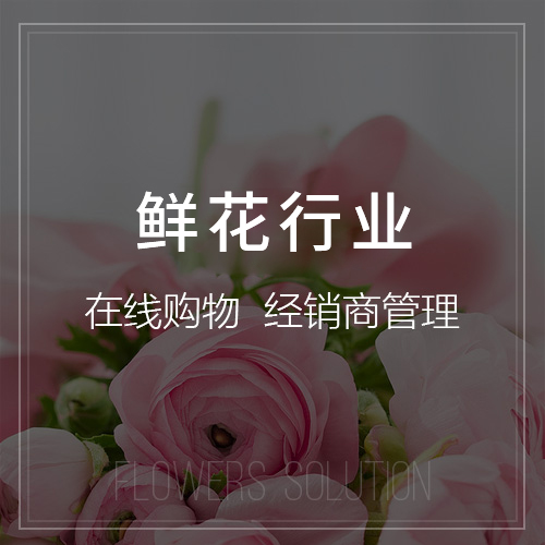 湖州外贸网站定制如何优化多语言支付与物流方案