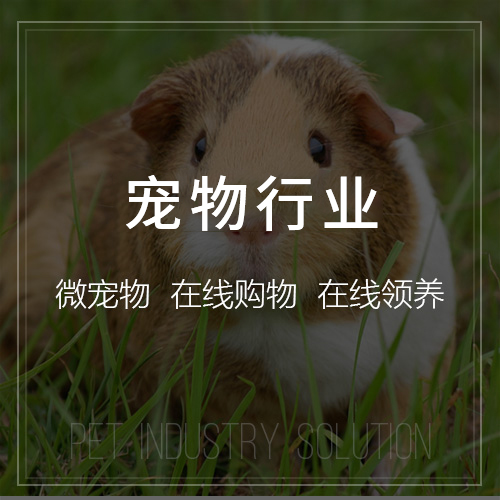 湖州集运系统制作中的智能调度算法应用